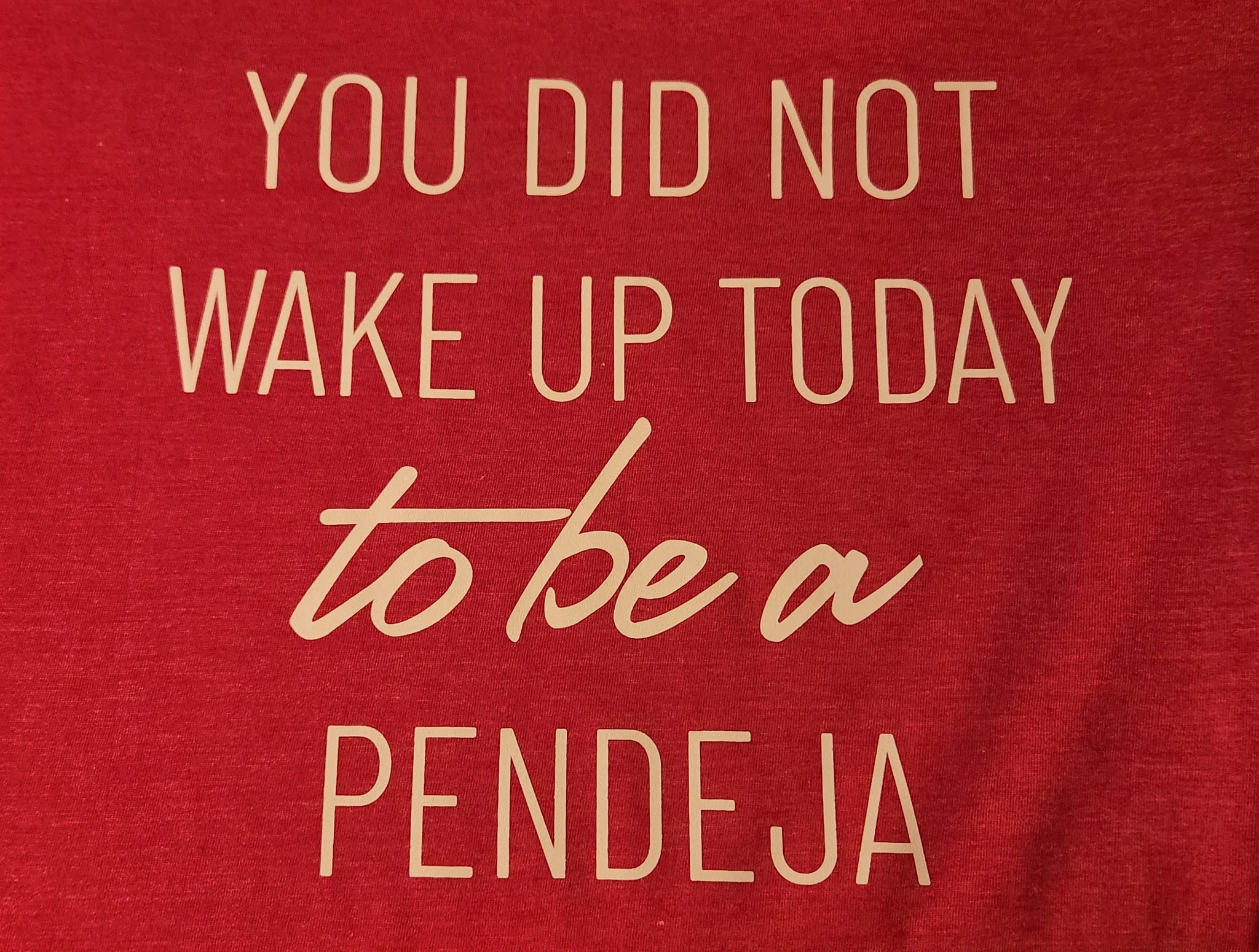 YOU DID NOT WAKE UP TODAY TO BE A PENDEJA