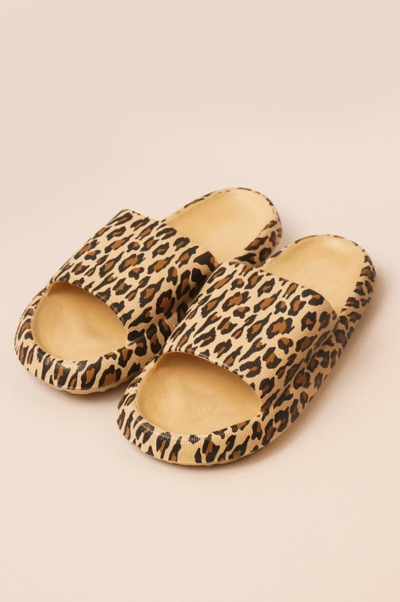 Slides