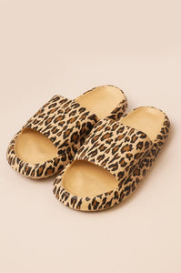 Slides