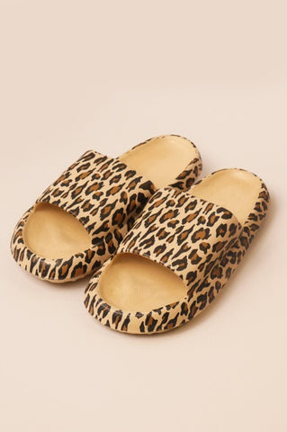 Slides